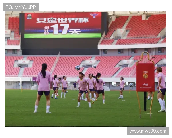 蒙塔居足球世界杯：800志愿者齐聚旺代共筑梦想